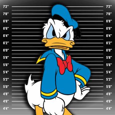 Donald Duck Mug Shot Mugshot Angry - Limited Edition of 1 thumb