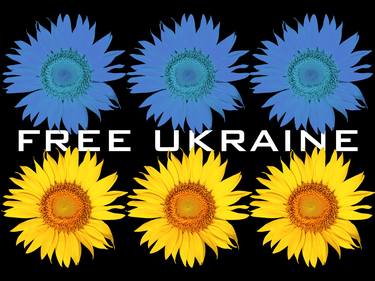 Support Ukraine With Ukrainian Flag Free Ukraine Sunflowers 4 - Limited Edition of 1 thumb