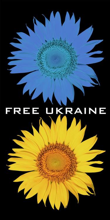 Support Ukraine With Ukrainian Flag Free Ukraine Sunflowers 3 - Limited Edition of 1 thumb