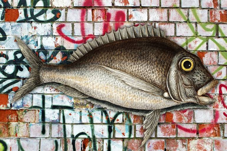 Graffiti Fish Fishing Pop 6 - Limited Edition of 1 Digital by Tony