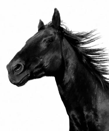 Original Impressionism Horse Digital by Tony Rubino