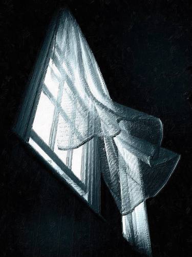 Lace Curtain Window thumb