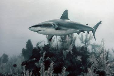 Shark Under Water thumb