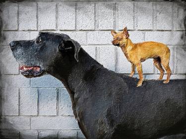 Print of Pop Art Dogs Digital by Tony Rubino