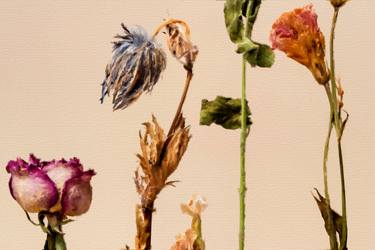 Print of Floral Digital by Tony Rubino