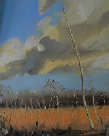 Original Landscape Paintings by Helen Dunning