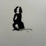 Spaniel by Helen Dunning