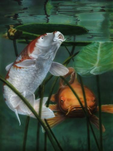 Print of Fine Art Fish Paintings by Wayne Pruse