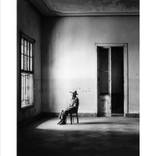 Collection Transitory