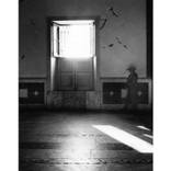 Collection Transitory
