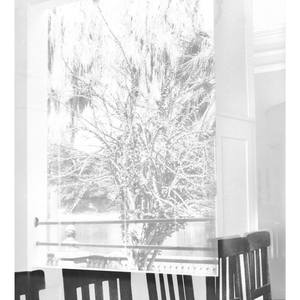 Collection Reflections