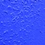 Picture Detail 1