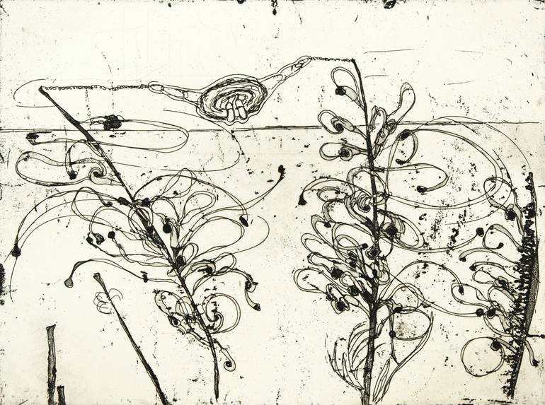 Original Figurative Botanic Printmaking by Veronique Driedonks