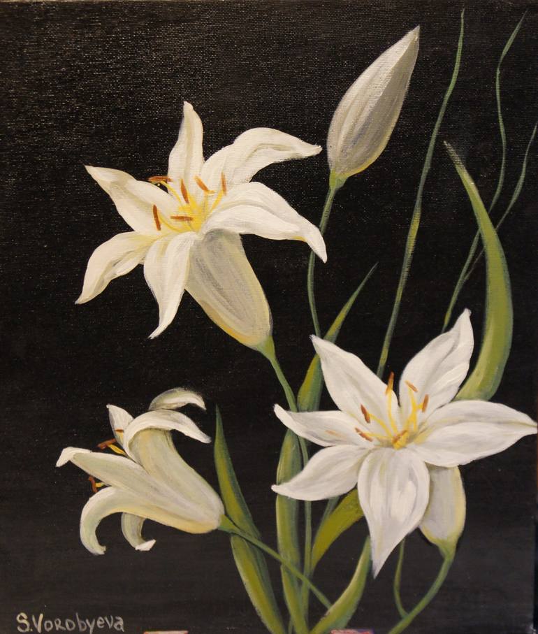 White lily Painting