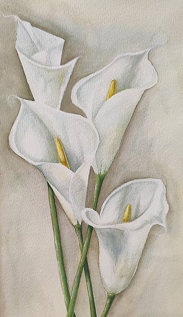 Calla. Watercolor painting by Svetlana Vorobyeva thumb