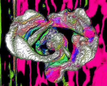 Original Abstract Floral Digital by Guy Salem