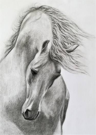 Print of Horse Drawings by Abitha Mary Kose