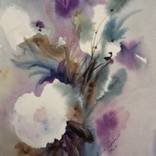 Collection Flora & Fauna