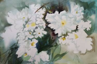 Original Floral Paintings by Anne Costello