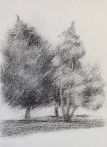 Original Landscape Drawings by Finnie Chen
