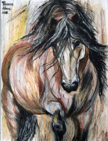 Print of Modern Horse Drawings by Alina Tanase