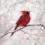 Red Cardinal by Doriana Popa