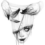 Weave by Doriana Popa