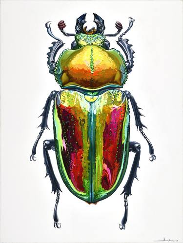 Phalacrognathus Muelleri / Rainbow Stag Beetle thumb