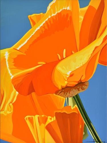 Californian Poppy and Pacific Wind #1 thumb