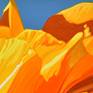 Californian Poppy and Pacific Wind #2 - Detail