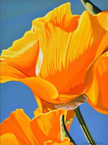 Californian Poppy and Pacific Wind #3 thumb