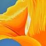 Californian Poppy and Pacific Wind #3 - Detail