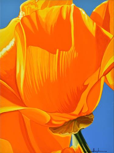 Californian Poppy and Pacific Wind #4 thumb