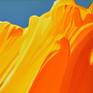 Californian Poppy And Pacific Wind #6 - Detail