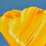 Californian Poppy And Pacific Wind #6 - Detail