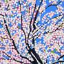 Apple Blossom #1 - Detail