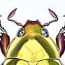 Golden Beetle #1 / Chrysina Resplendens - Detail