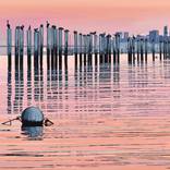 San Francisco Bay After Sunset by Alex Nizovsky