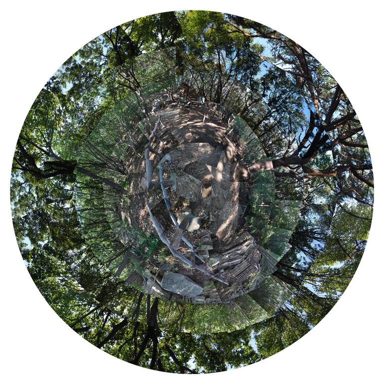 Original Modernism Nature Photography by Martyn Thompson