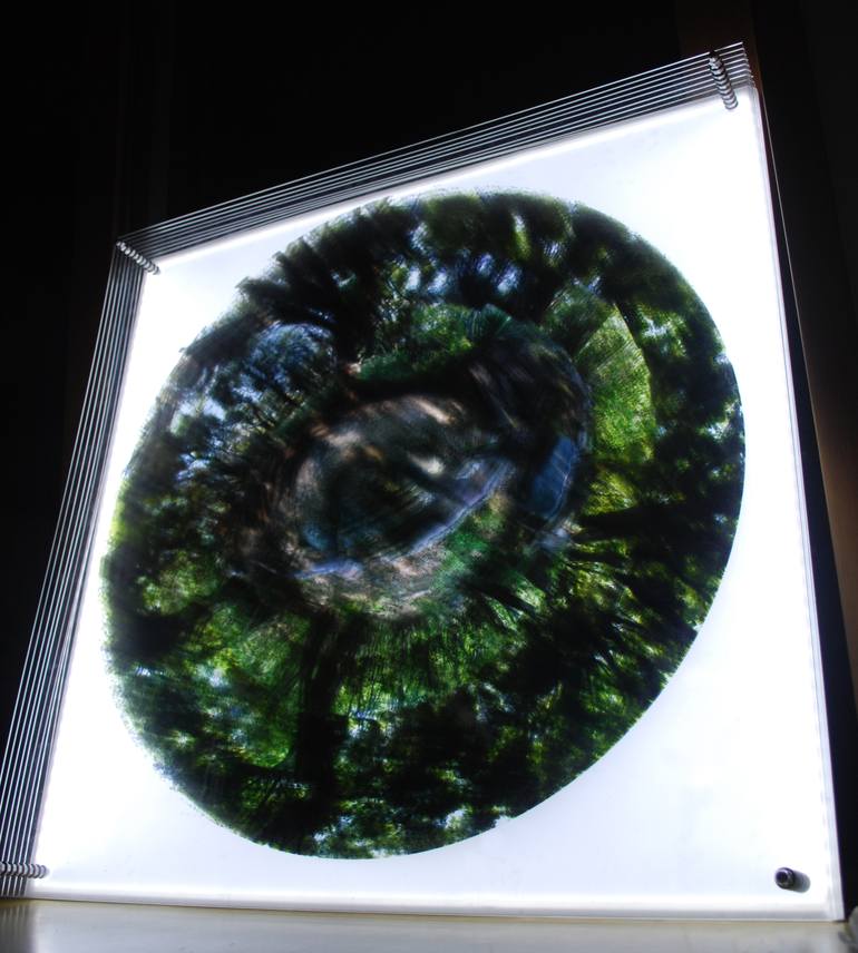 Original Modernism Nature Photography by Martyn Thompson