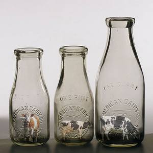 Collection Bottled Animals