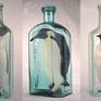 Collection Bottled Animals