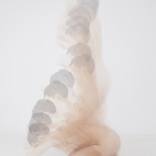 Collection Asian Inspiration