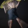 Collection Stroboscopic Dance