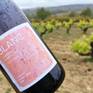 Vi Brisat - Wine Label for Vins Petxina, Catalunya