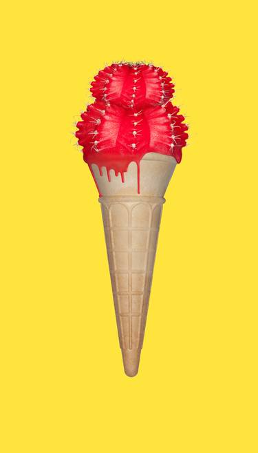 Original Pop Art Still Life Photography by alex buckingham