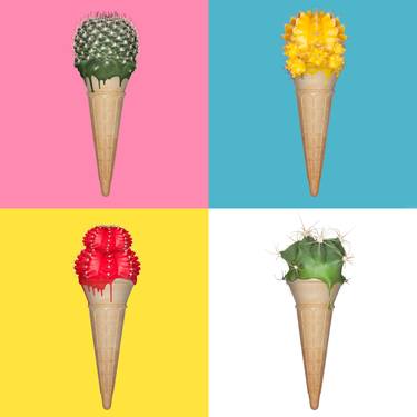 Prickly Cones - Limited Edition 1 of 20 thumb