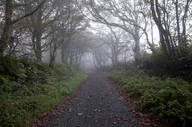 Print of Landscape Photography by alex buckingham