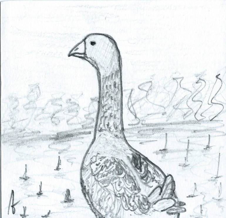 To Take A Gander Drawing by JD Duran Saatchi Art