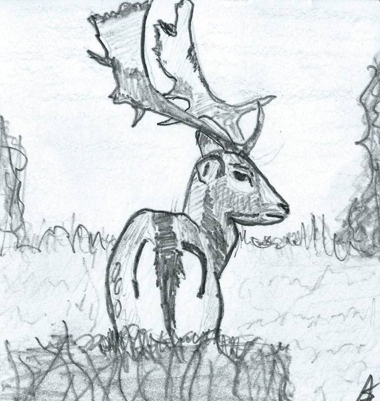 Fallow Deer Drawing by JD Duran